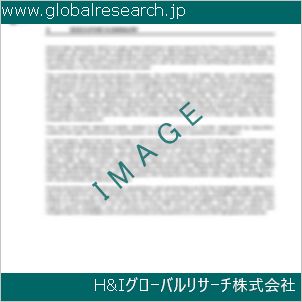 グローバルリサーチ調査資料のイメージ